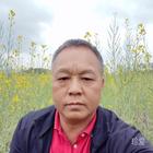寻爱的老男孩