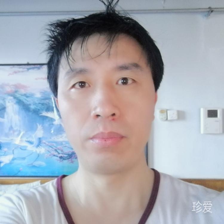 古柏龙