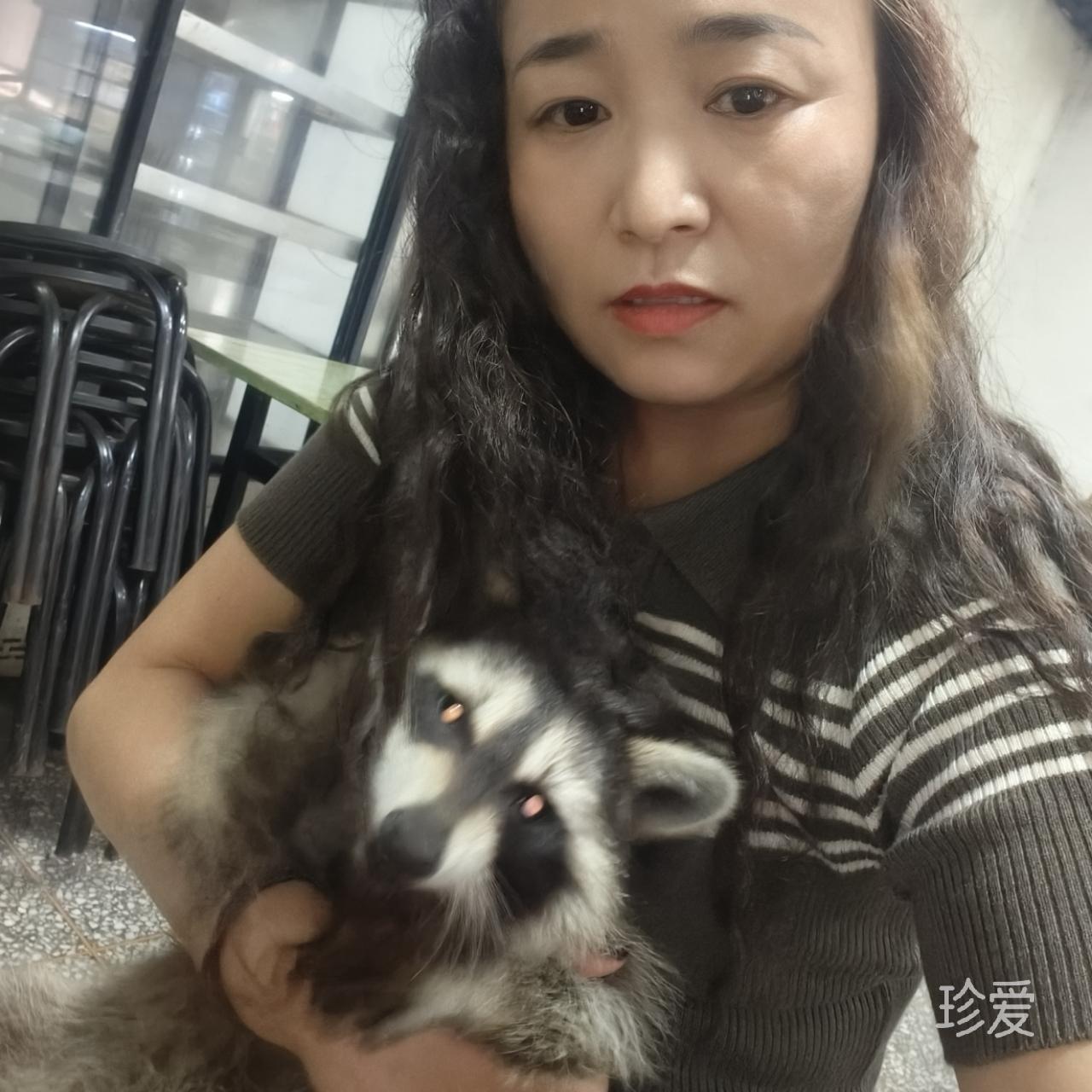 杰奎琳