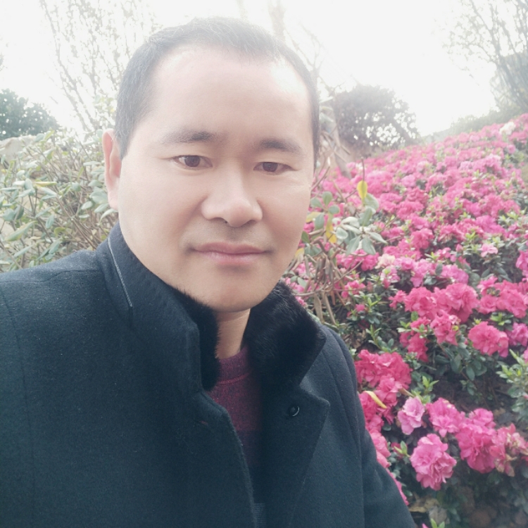 桃花依舊笑春風