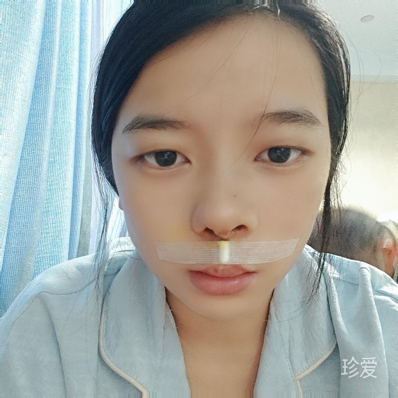凉巷的花猫