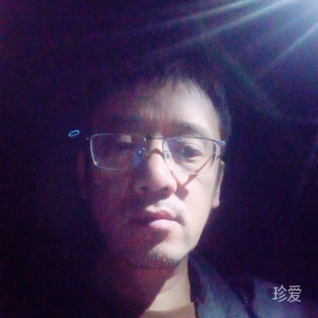 水星上的小海燕