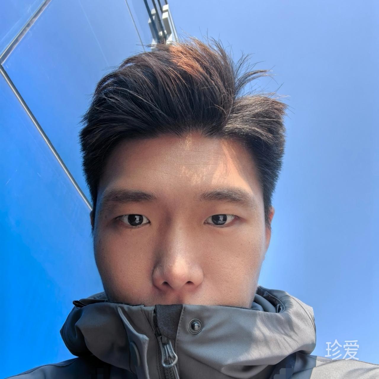 停止流浪