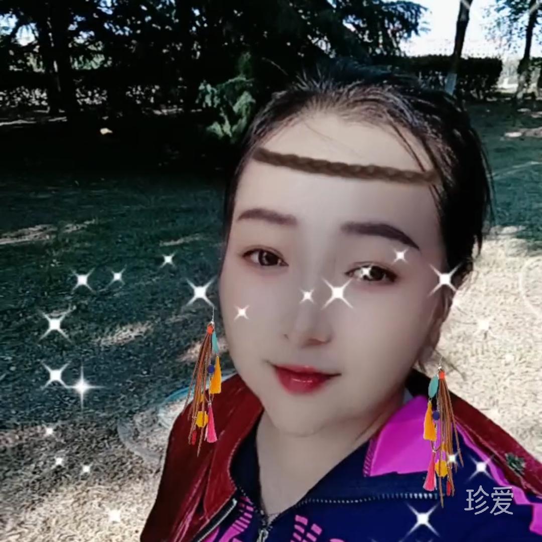 盛开的梅