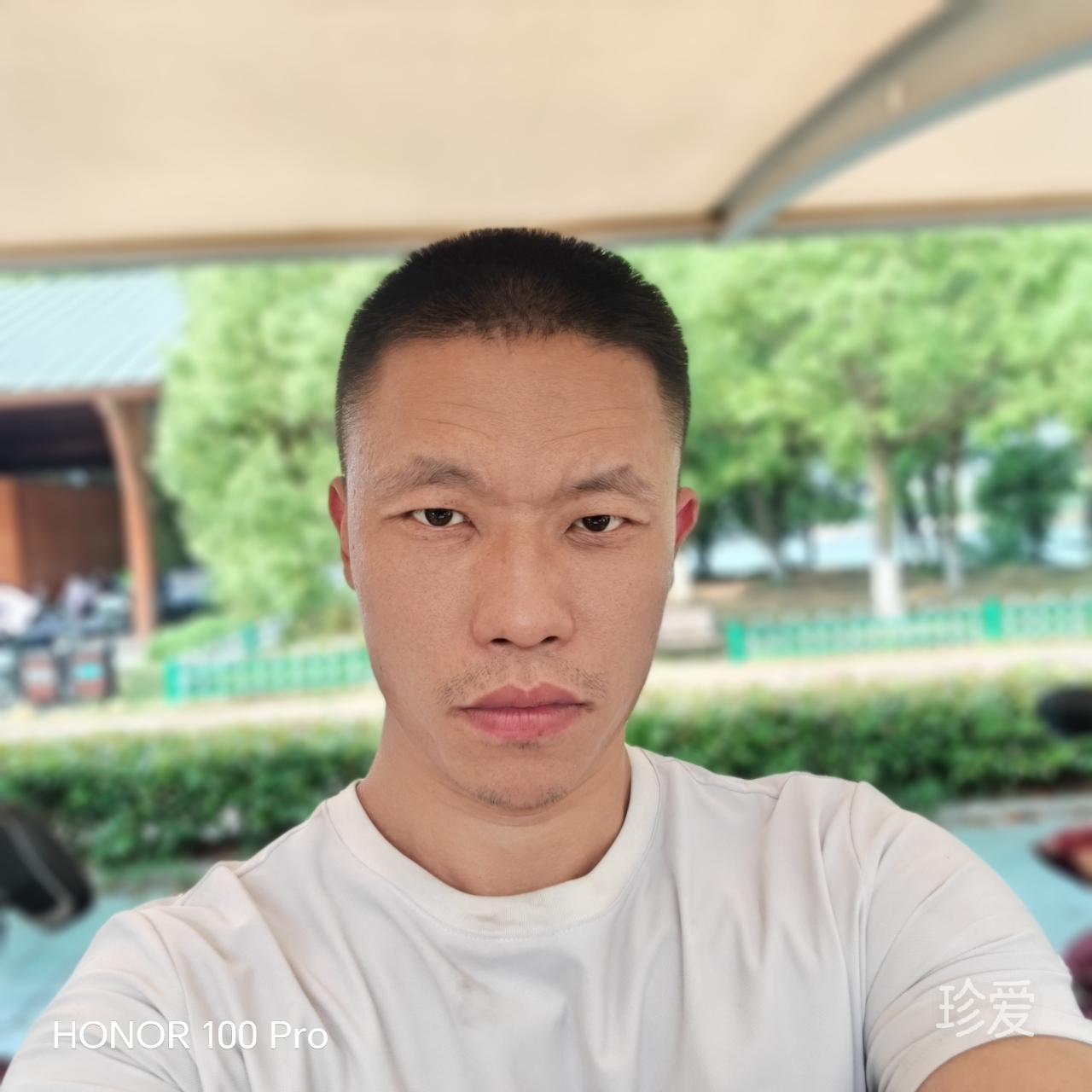 林间的倒影