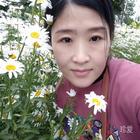 剛好遇見你