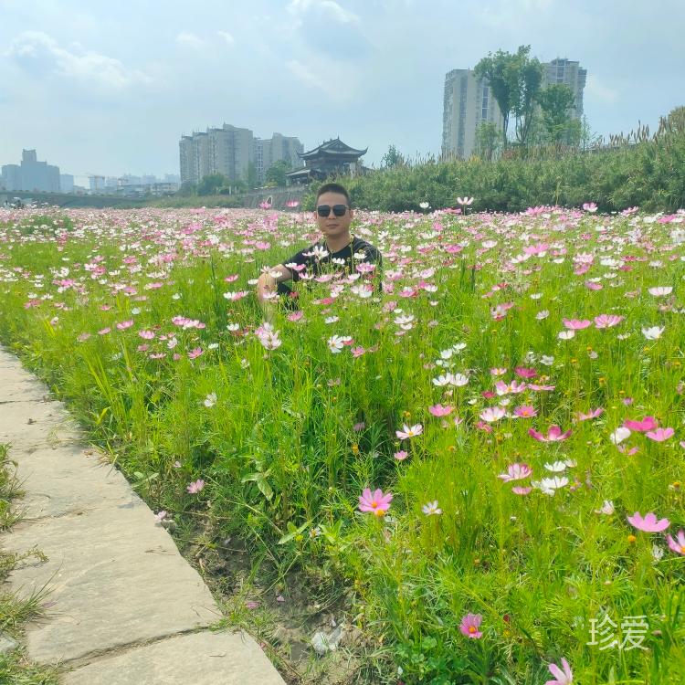 笑著過(guò)余生