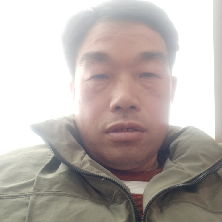 扶摇直上万里寻