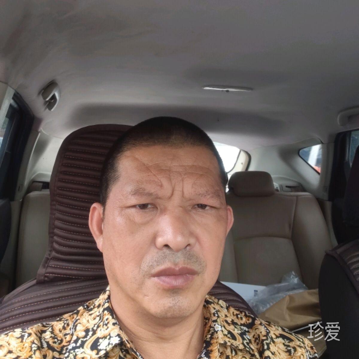 醉心鱼