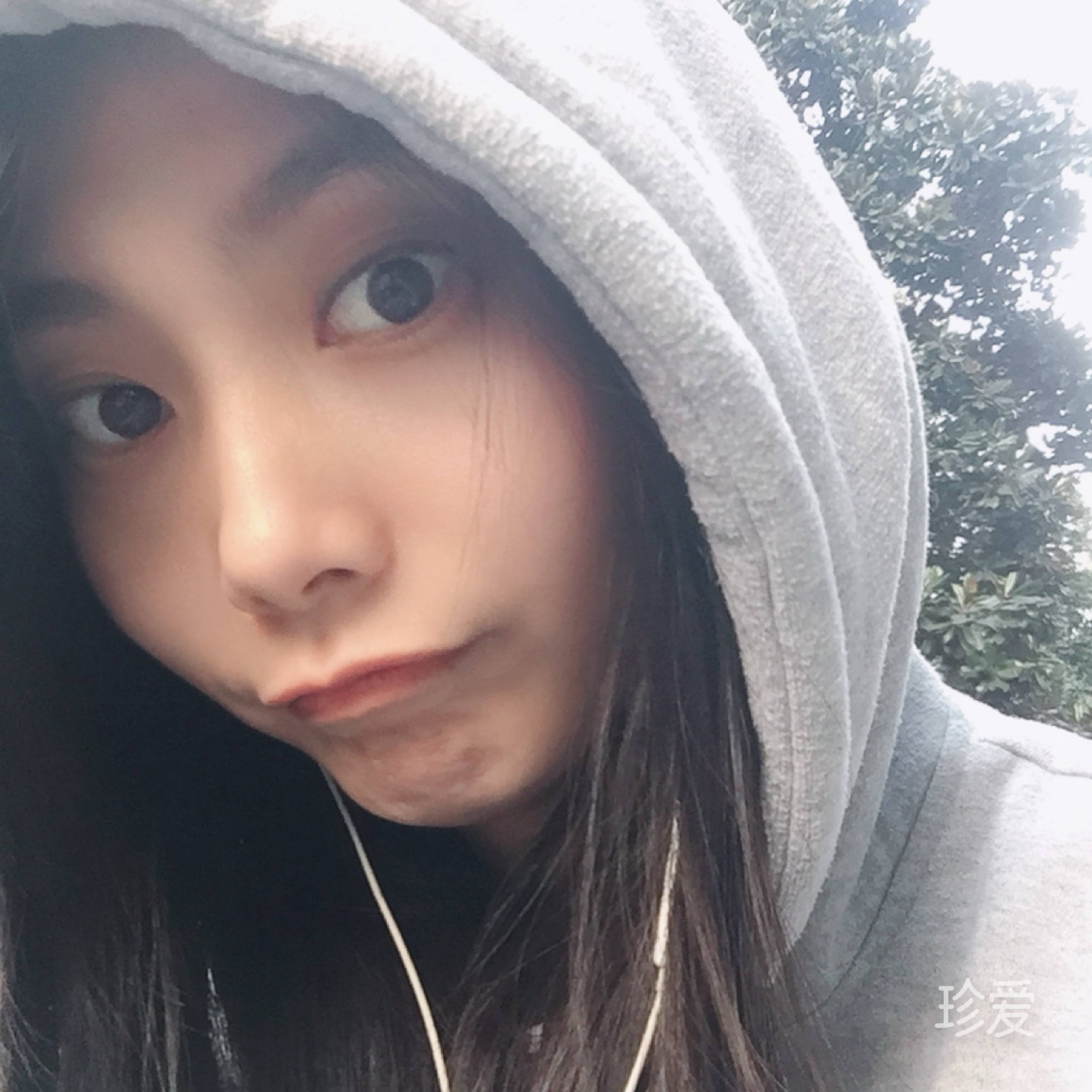 小鱼儿?