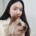 潘潘