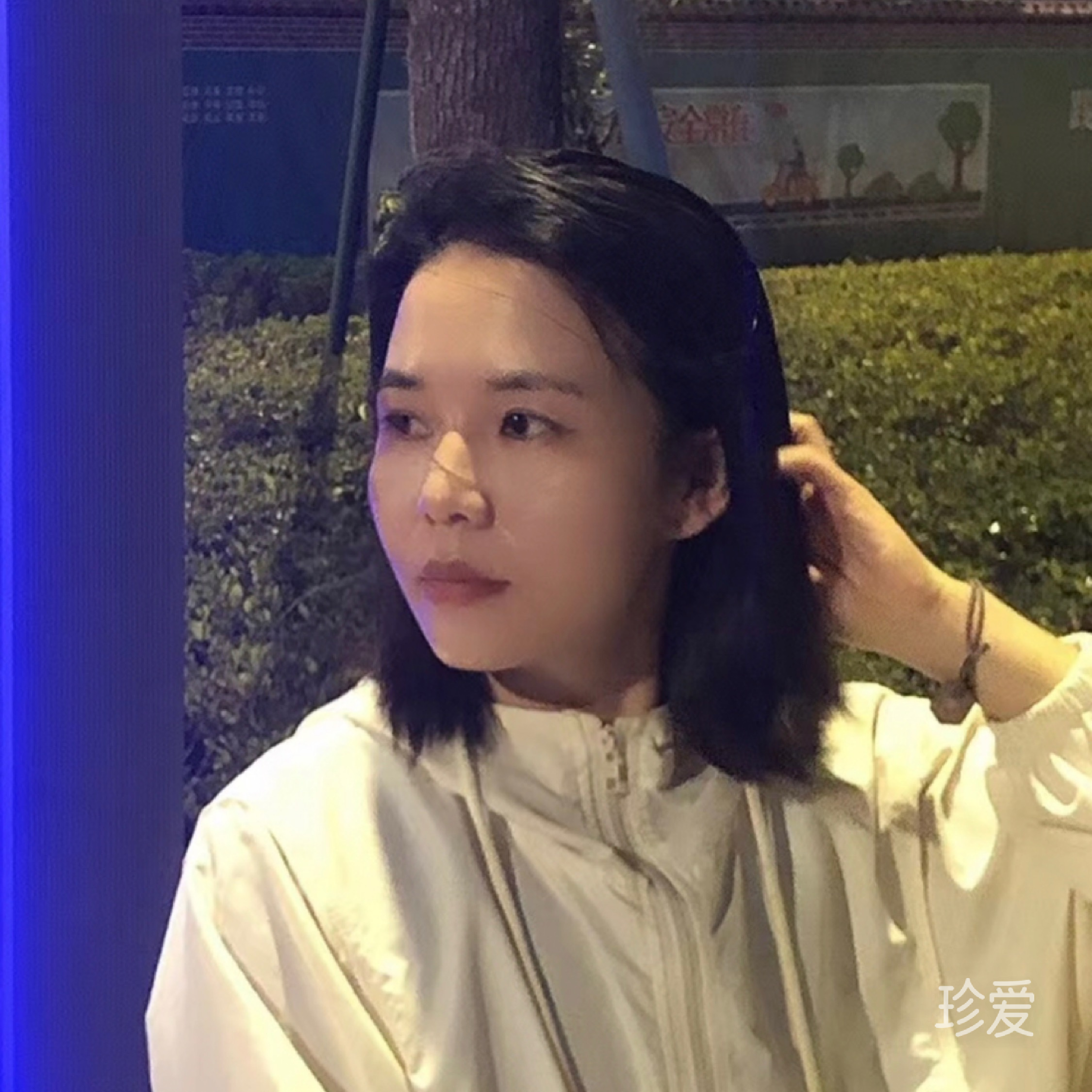 摇曳蔷薇