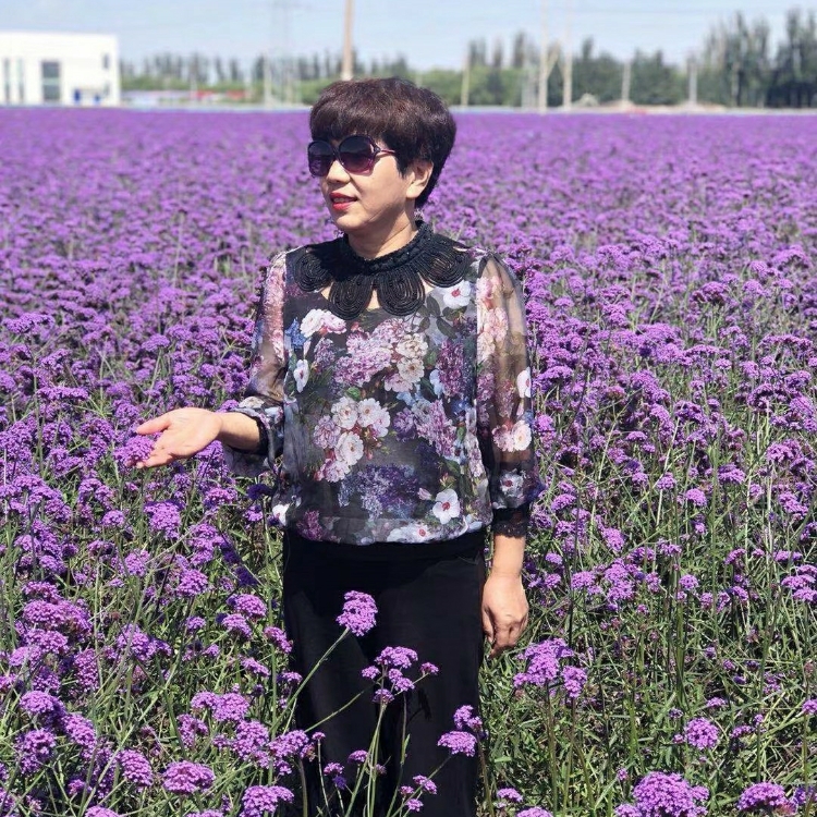 與陽(yáng)光同在