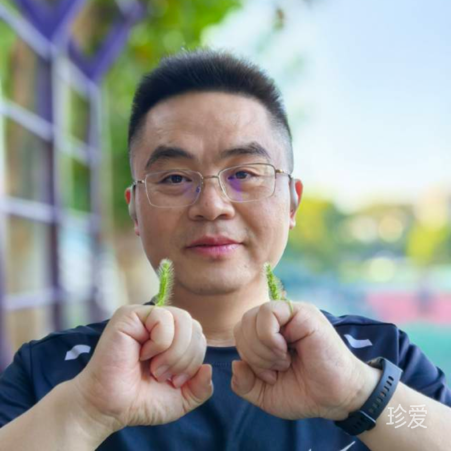 大鱼