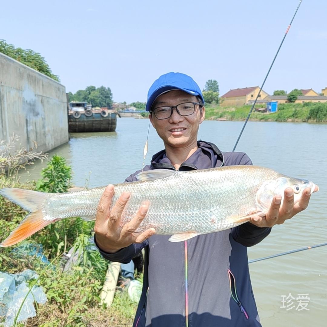 真誠(chéng)的哥