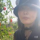 美好的藍(lán)