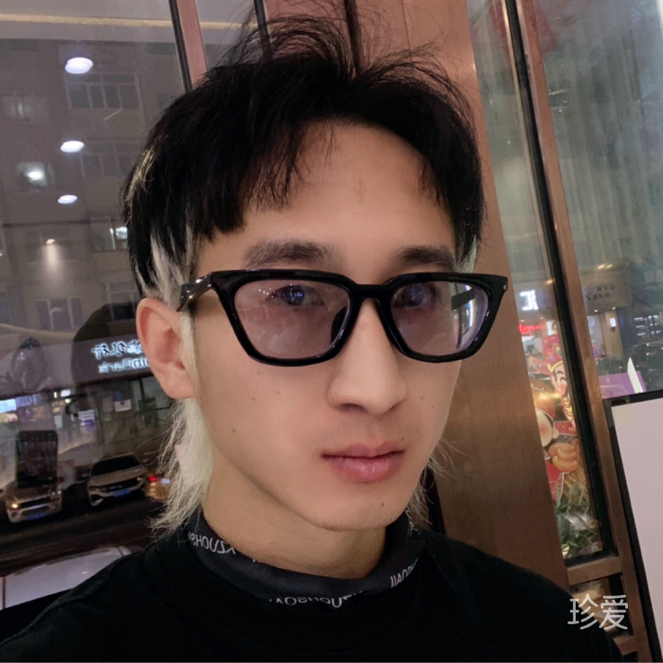 一只鹿
