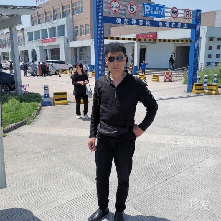 岸边树