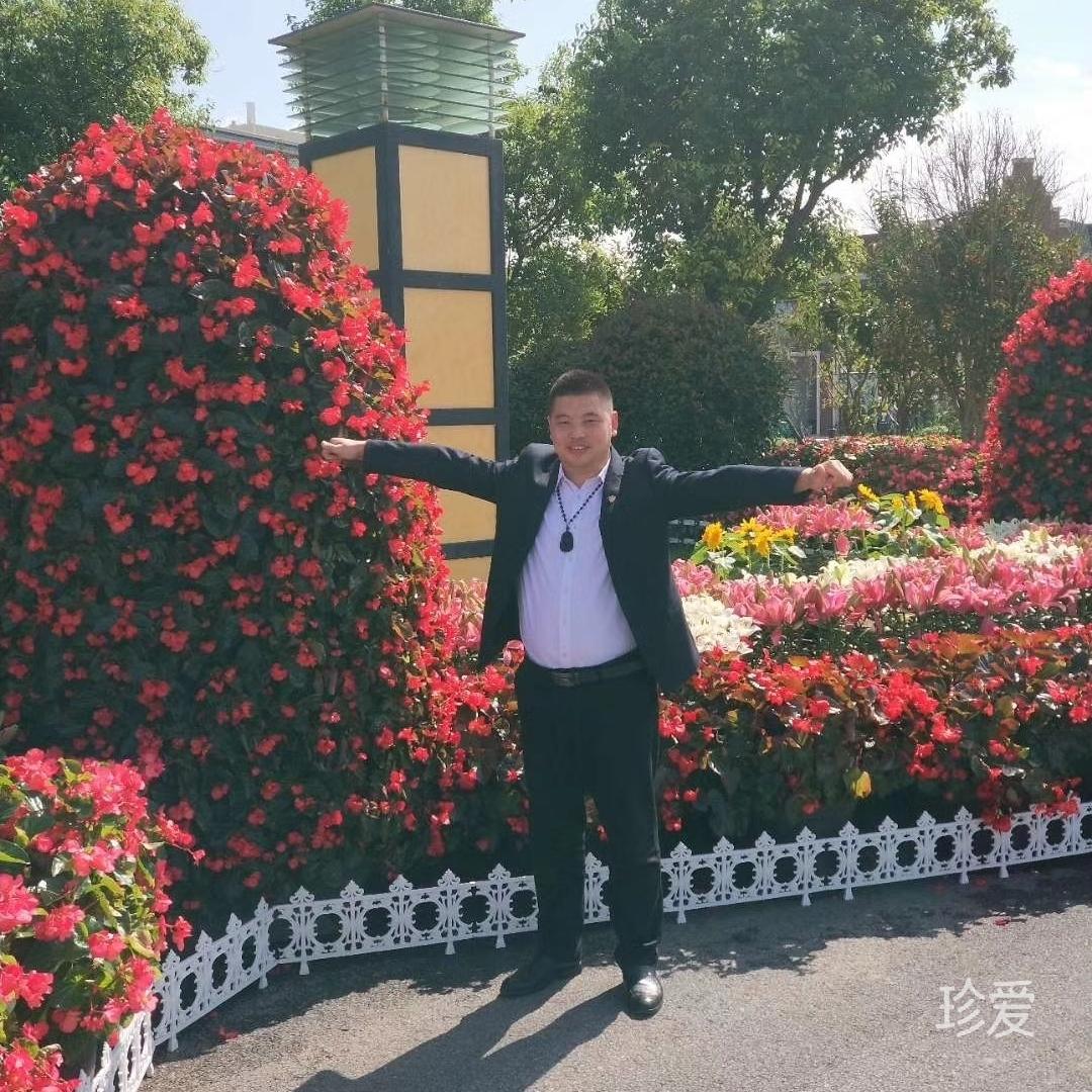 我的爱在那里