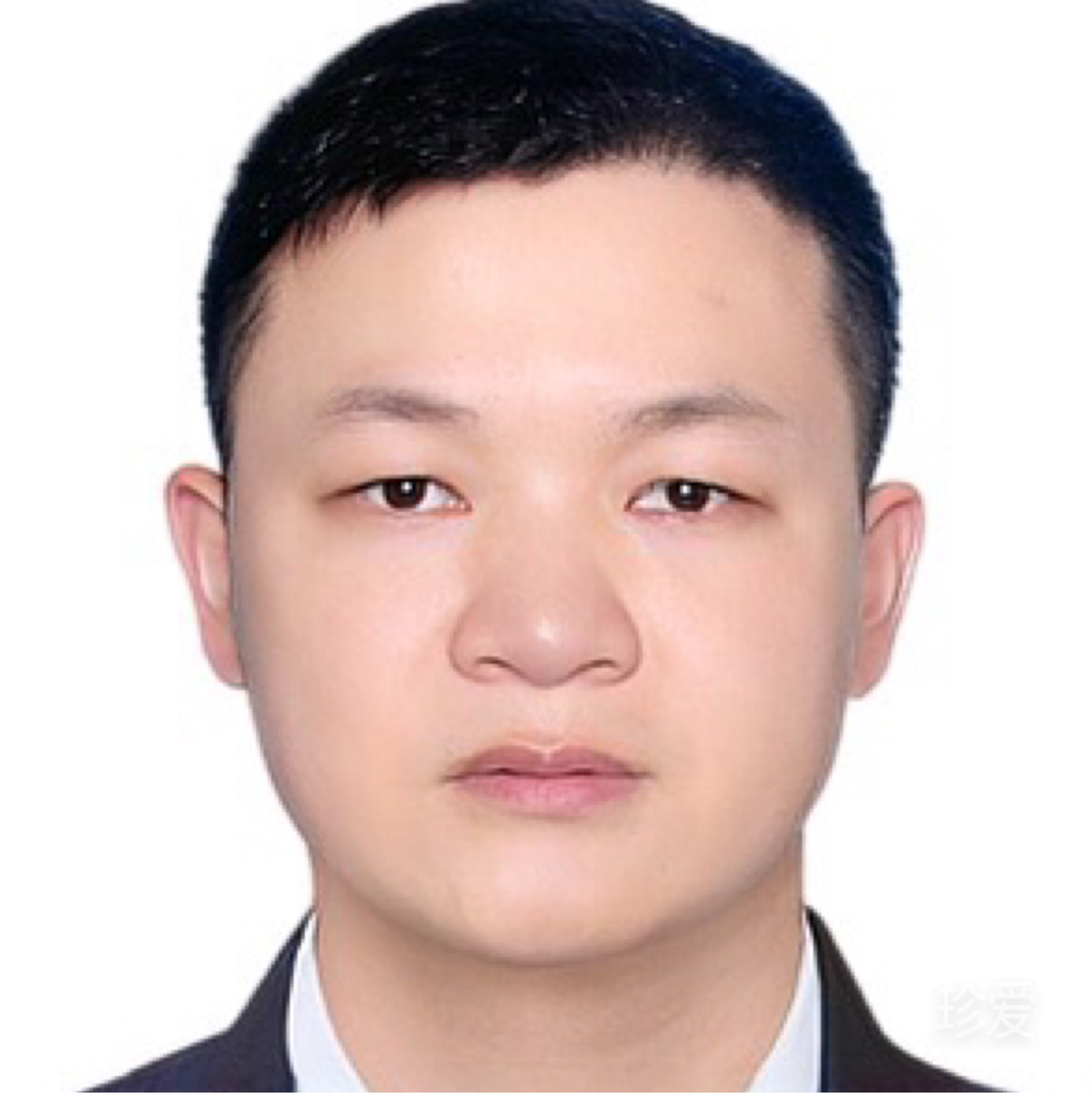蒲公英