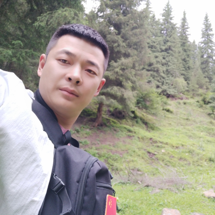 心若向陽無畏悲傷