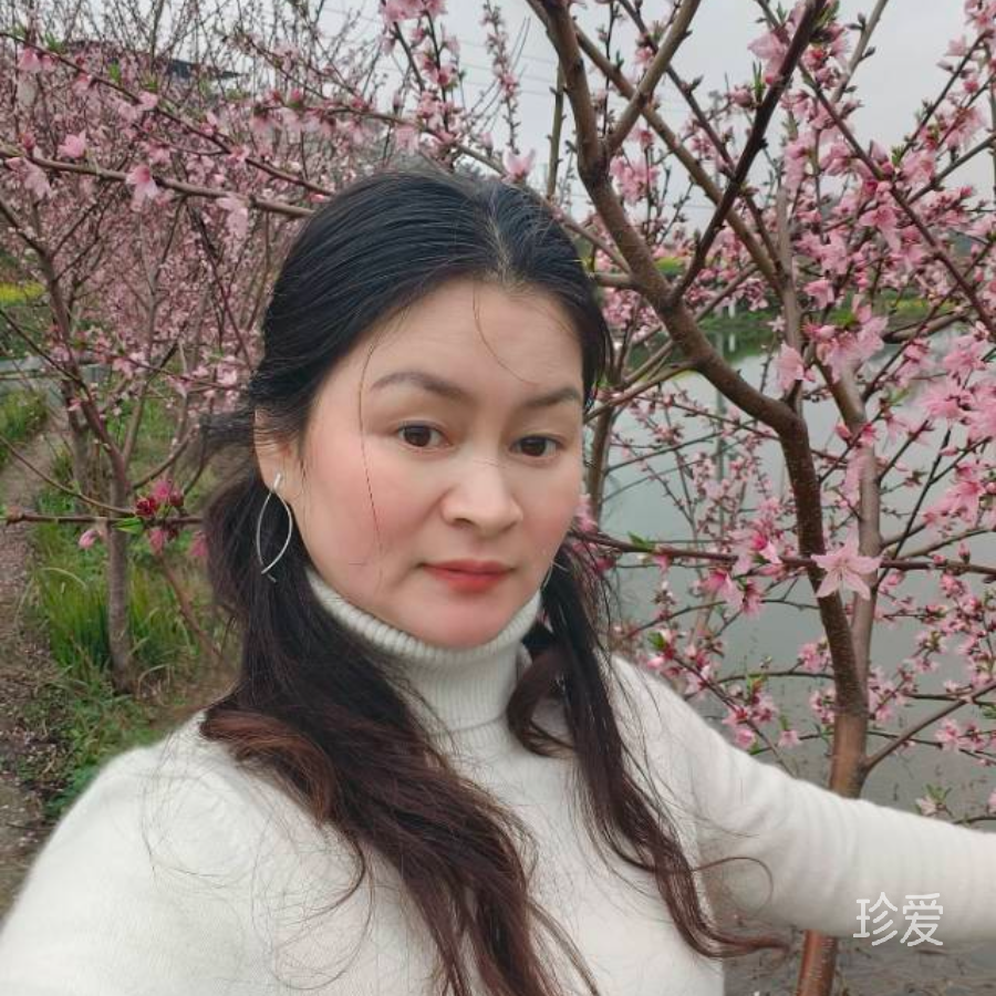 春天的雨