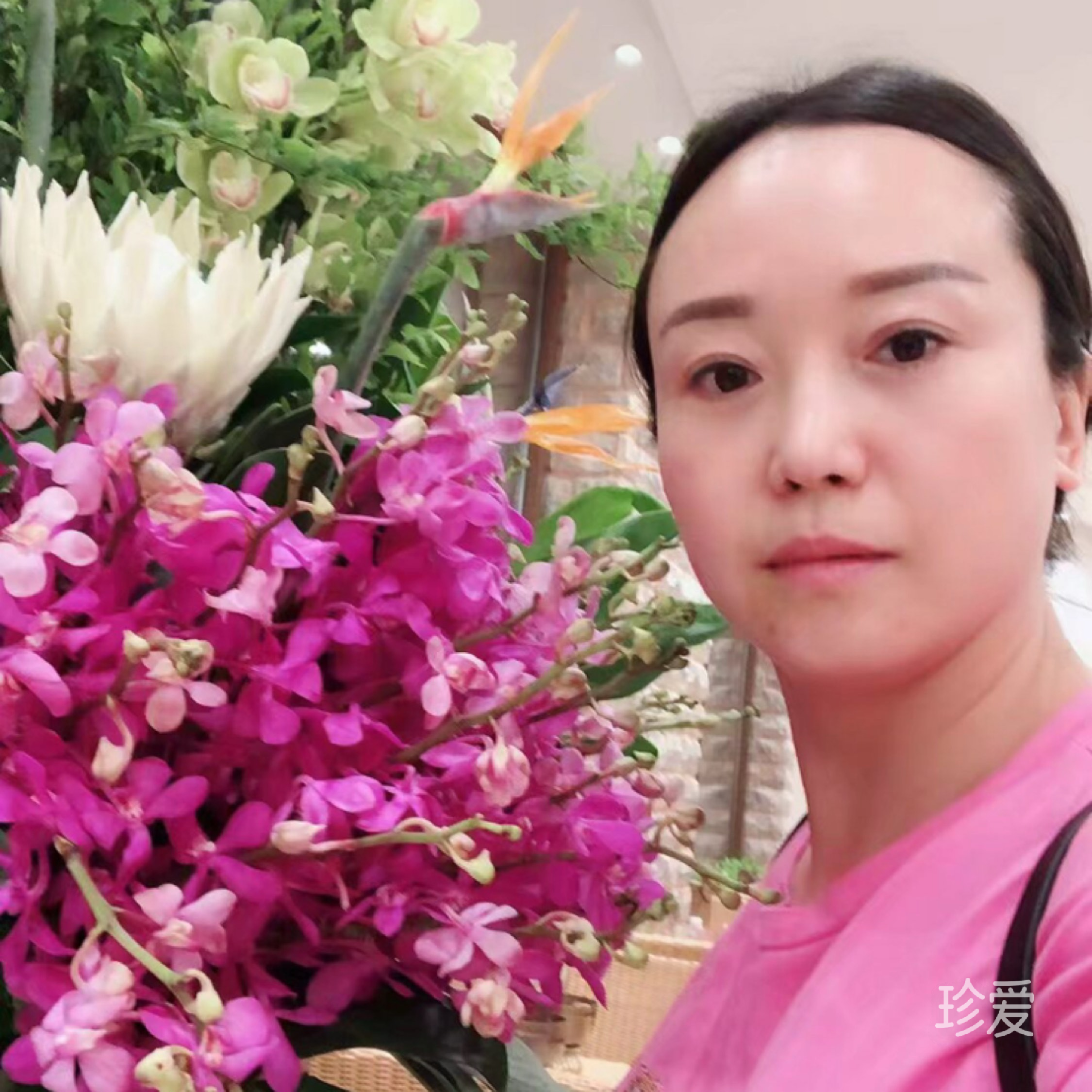 盛夏梅子汤
