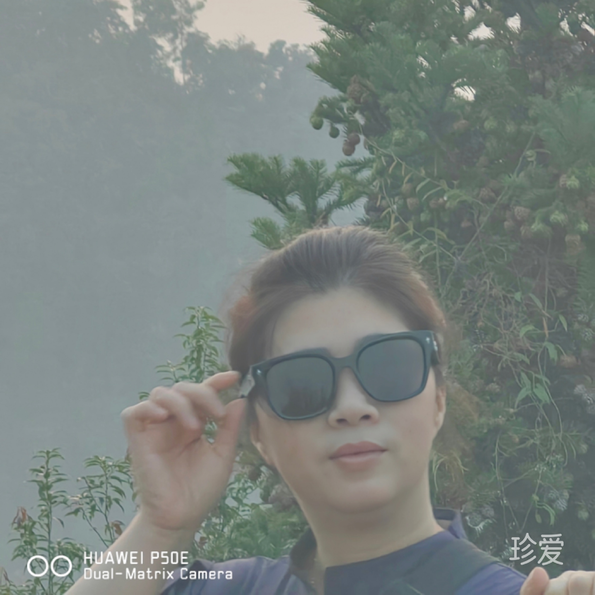 洋洋