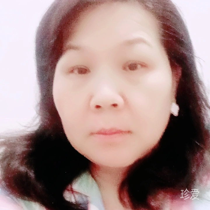 傲雪寒梅獨自開