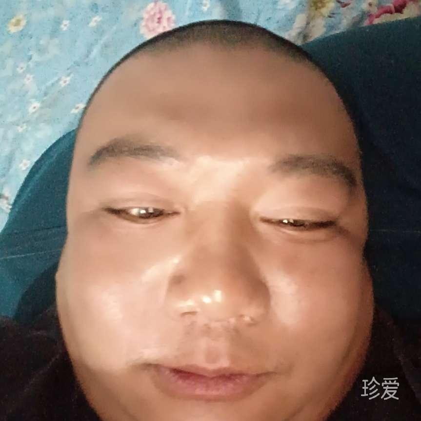抹茶饼干