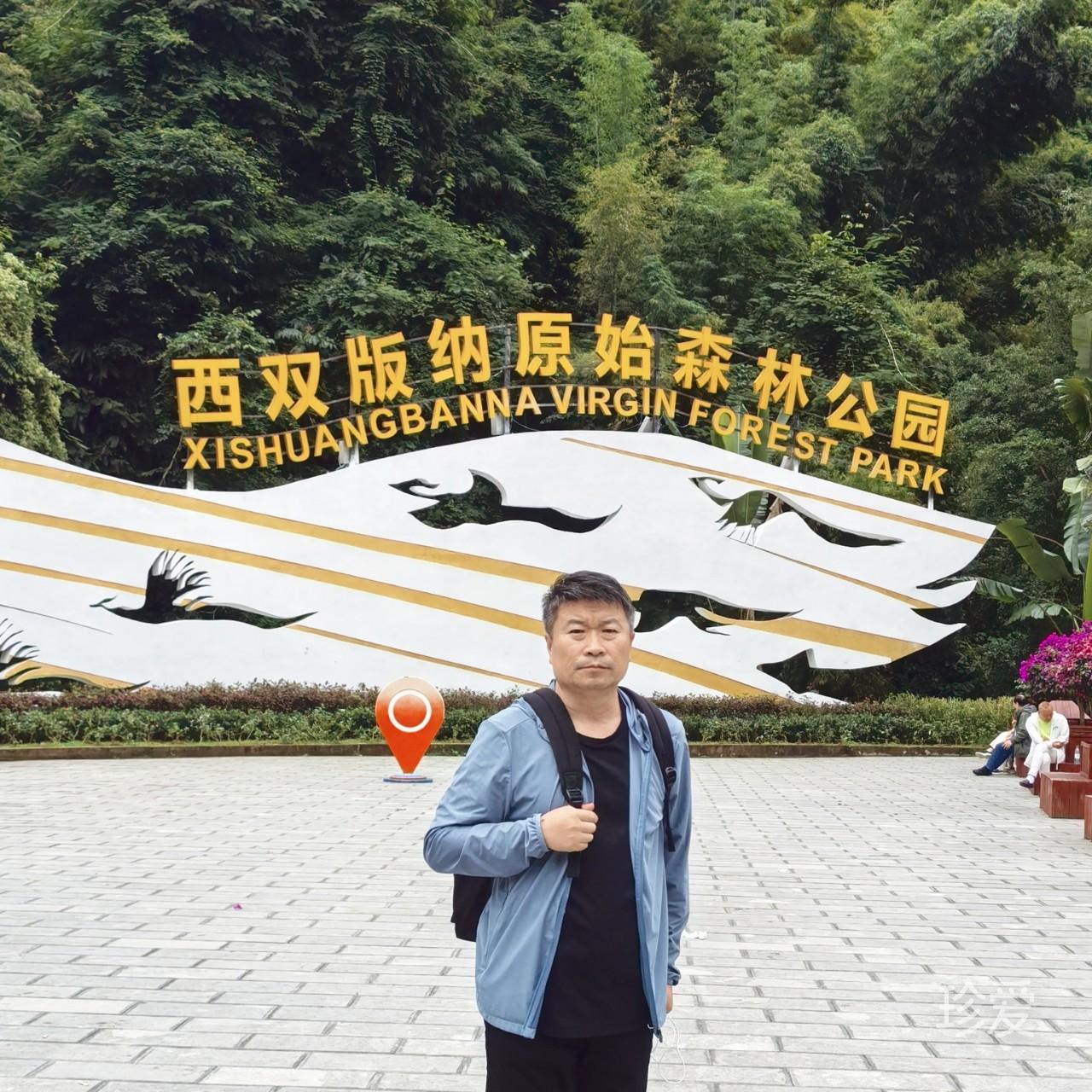 南飞