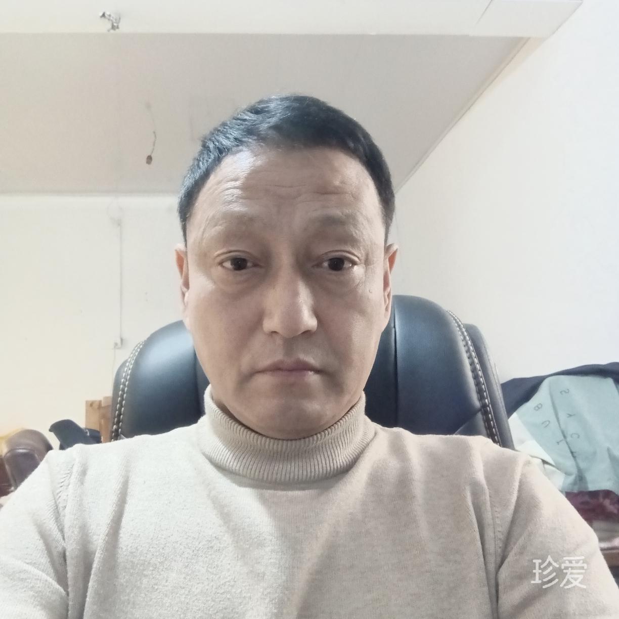 孤独的马