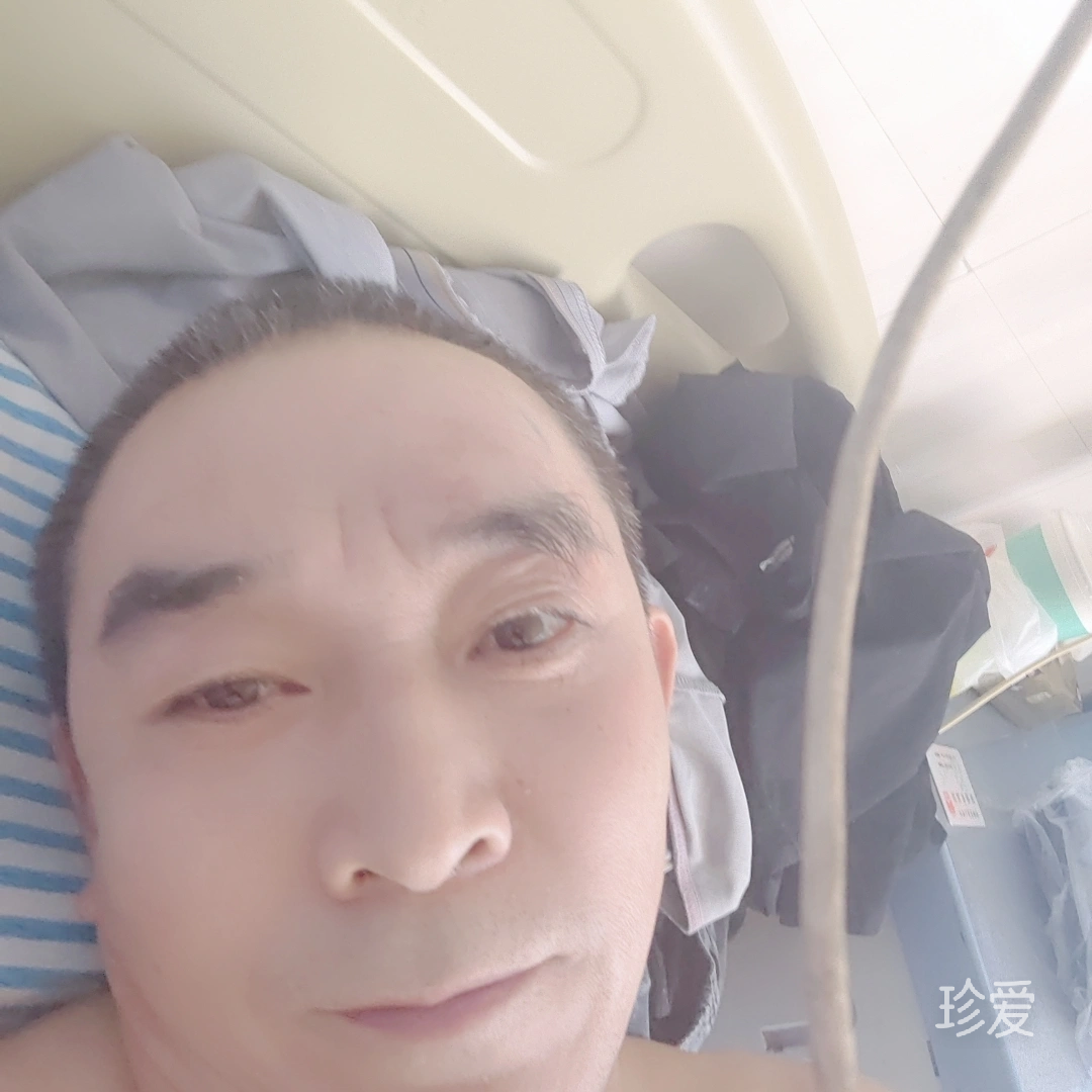 一抹惊鸿