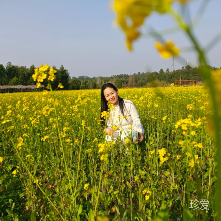 春天的暖阳