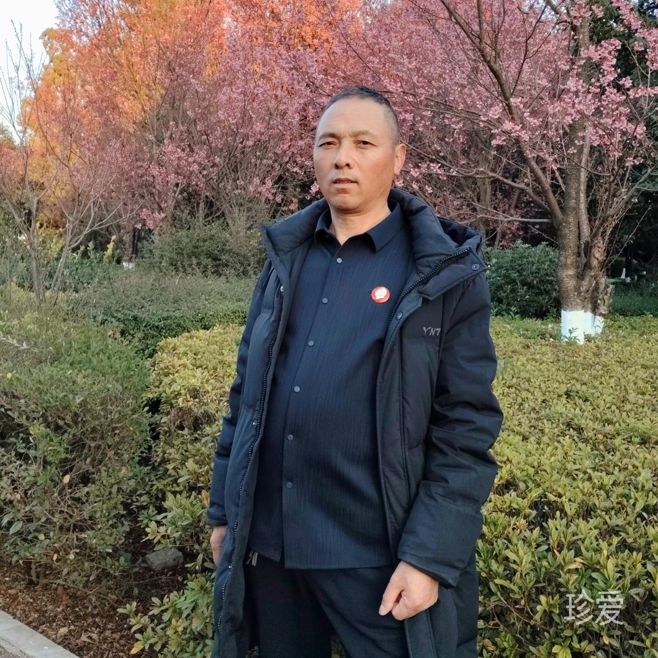 爱拼才会赢