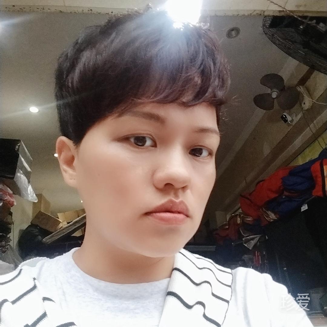 梵谷来的猫