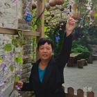 盛開(kāi)著彩虹般的夢(mèng)