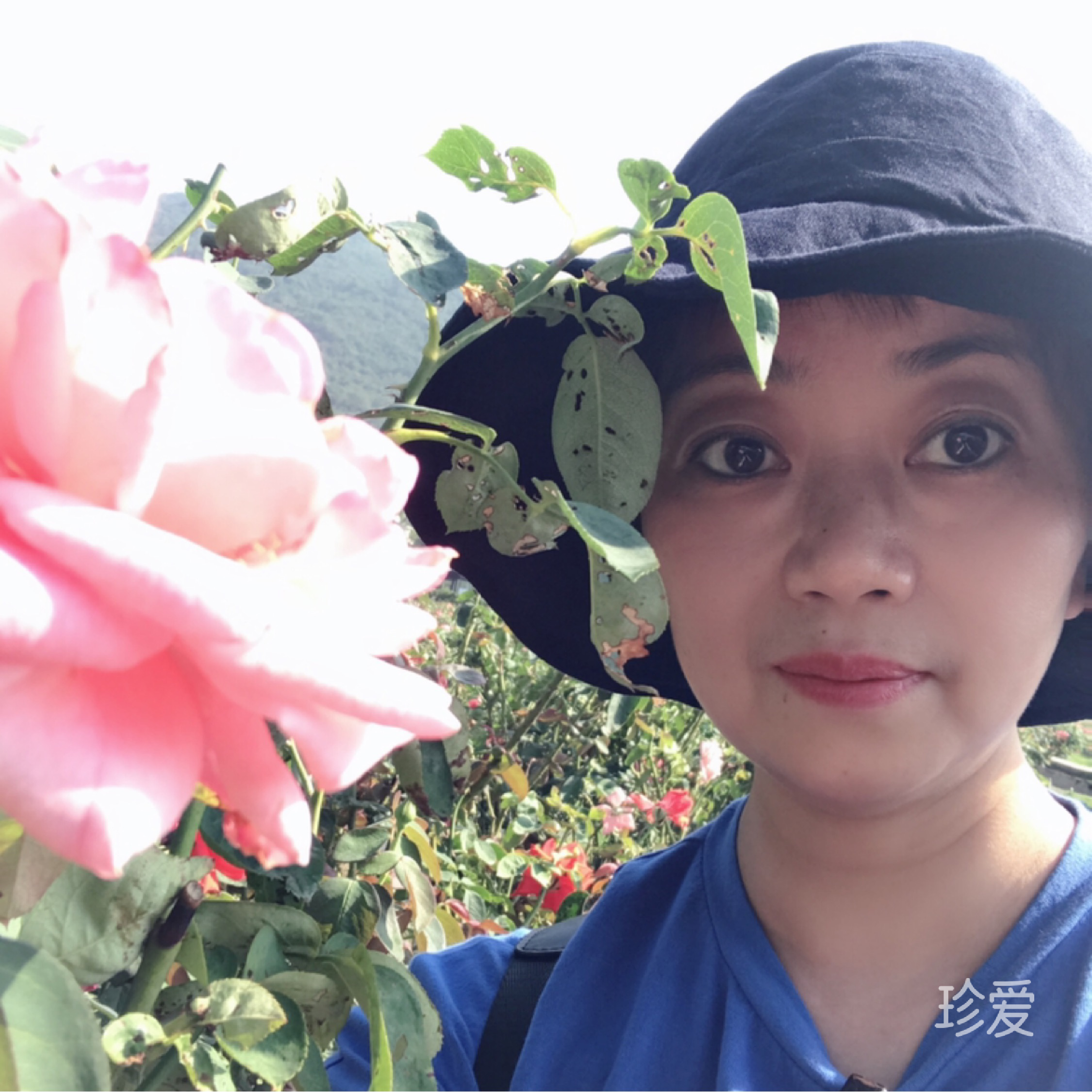 奶香味儿
