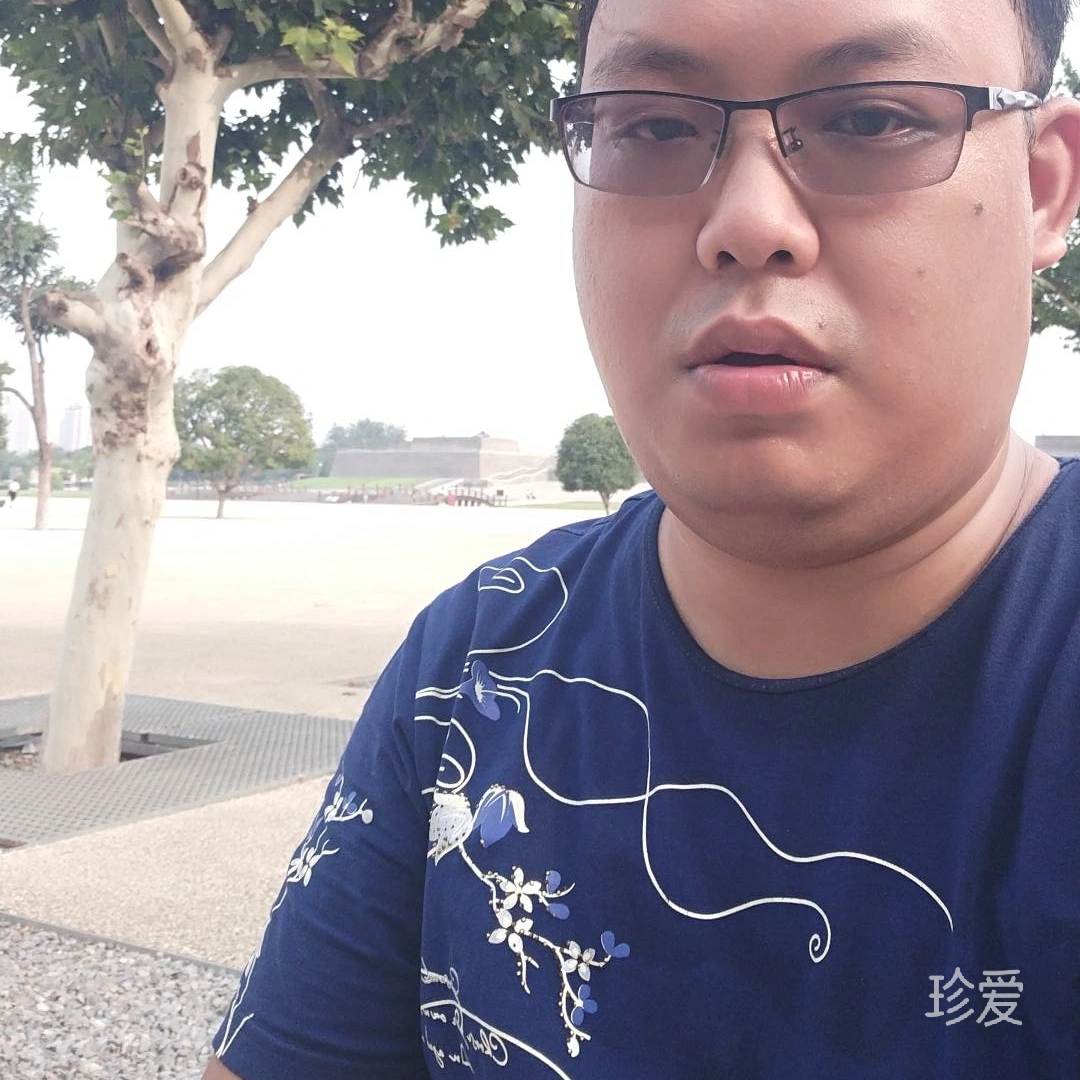 孤獨(dú)的旅行者