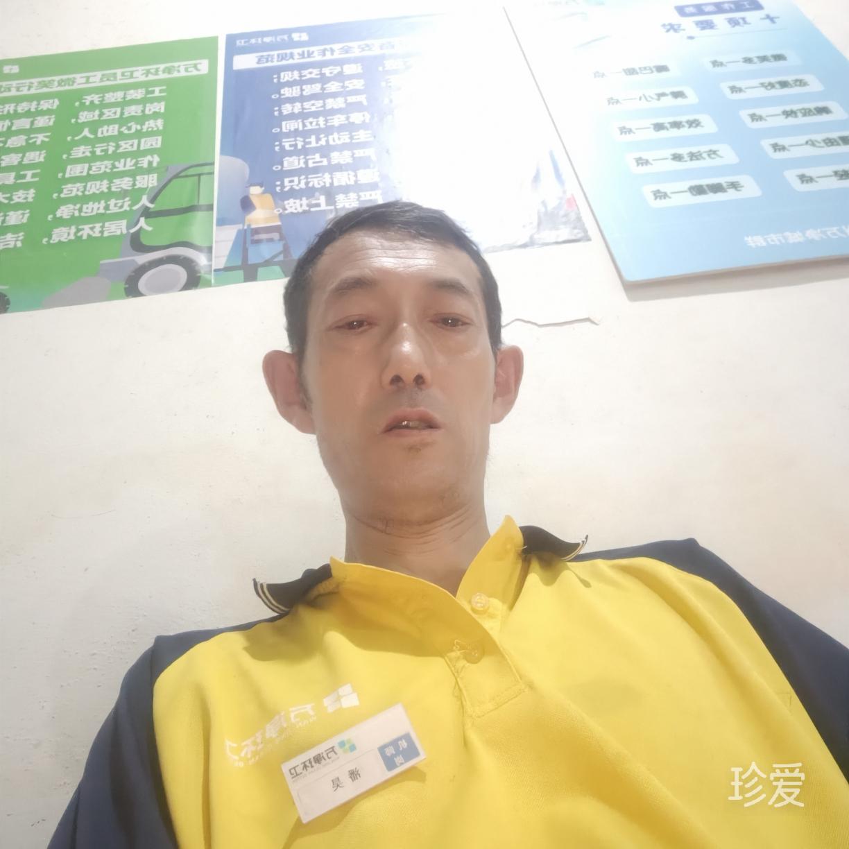 迷失的羔羊