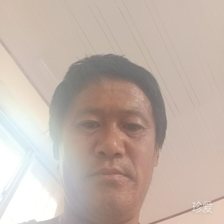 梦里寻你千百度