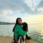 冬天的一場(chǎng)雪