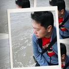 樹洞