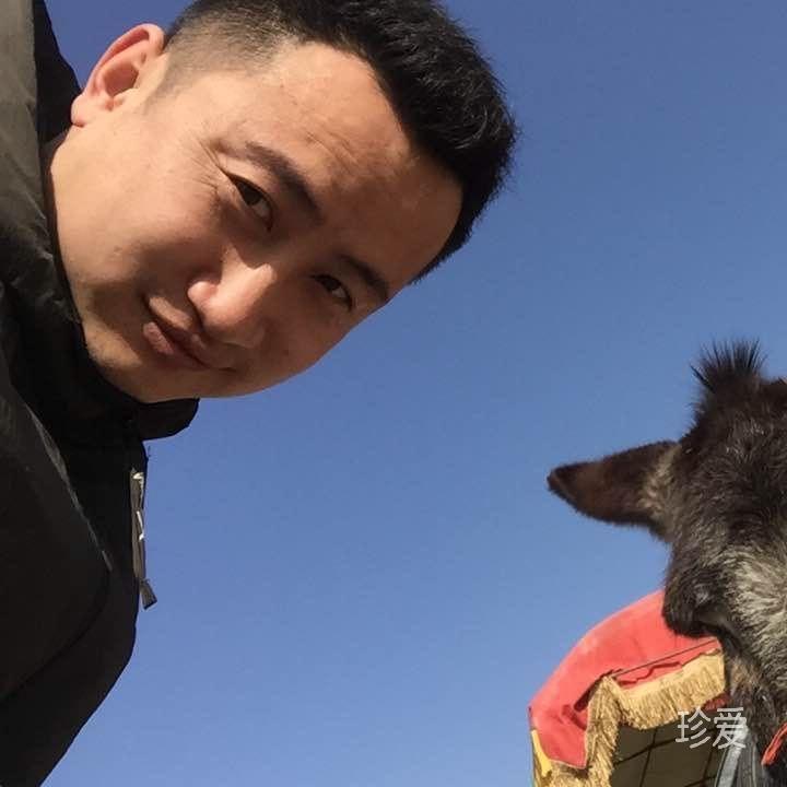 一抹固執(zhí)的笑