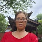 寶丫麗豬