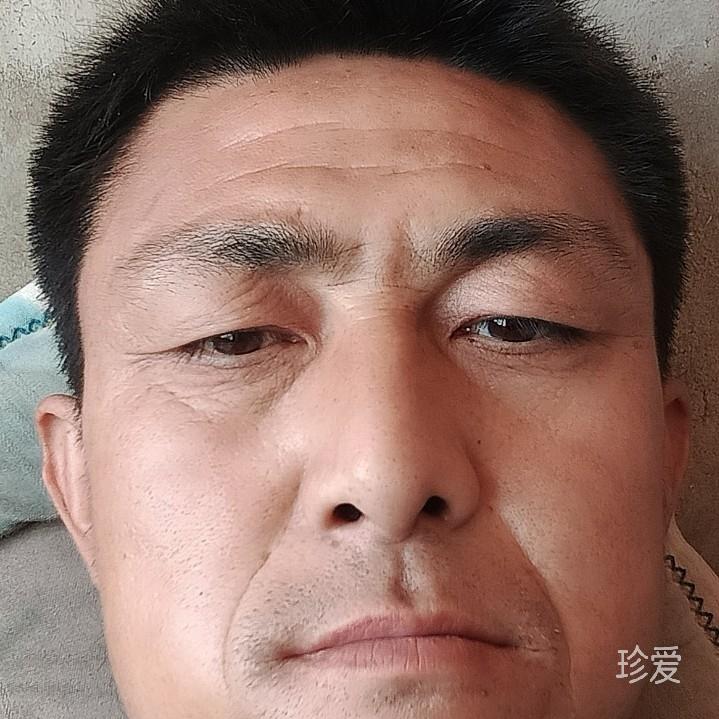 真诚的人乐语狼头
