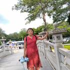 黑色郁金香