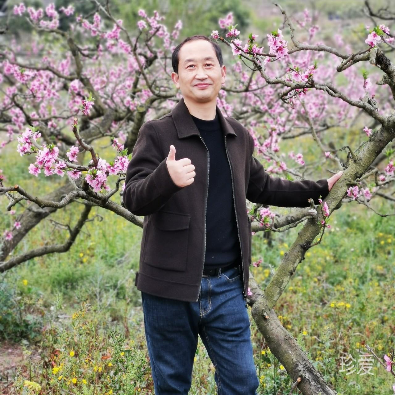 王晞福