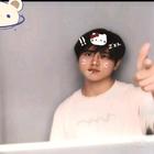 梨子菠蘿