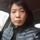 想尋幸福的豬